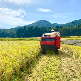 新米【令和8年産】新潟県産つきあかり 玄米10kg｜ふっくら大粒のお米