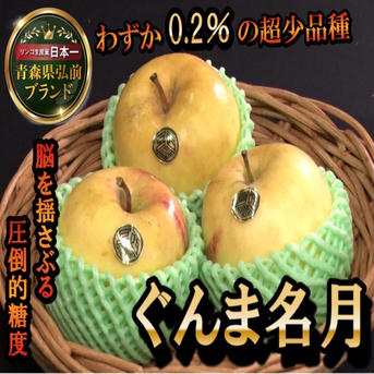 【5周年限定】🍎黄色い林檎の概念を覆すぐんま名月🍎一度食べたらもう戻れない超希少林檎～品種指定キャンペーンお試し特価～🍎冬ギフト🍎 ぐんま名月林檎5～6個 果物/りんご通販