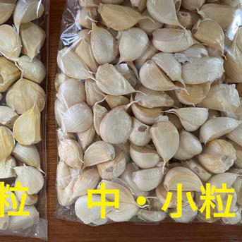 （ばら中小800g）こだわり強めな乾燥にんにく 中小粒800g 野菜/にんにく通販