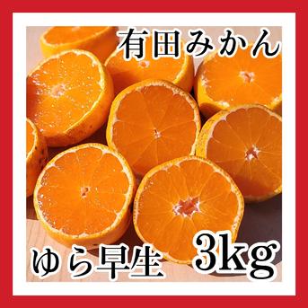 有田みかん ご家庭用 和歌山 有田市 産地直送 3kg(箱込み) ｜ 果物