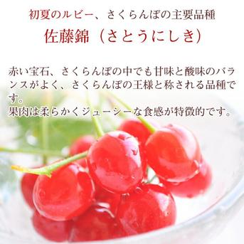 【お試し大特価】減農薬栽培・朝採れ発送　あま〜いさくらんぼ【佐藤錦】 2L-L混合 200g×2p（400g） 果物/さくらんぼ通販
