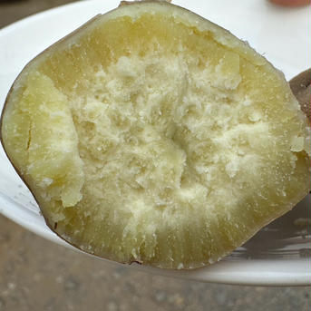 ホクホク系【 サイズ混合(S〜L) しろほろり 】千葉県産 さつまいも 5kg 1本あたり➡︎ S〜L : 100g〜500g 野菜/さつまいも通販