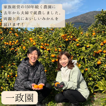 【超完熟宮川早生】屋根かけ越冬みかん　5キロ2Sサイズ　ギフトにも　有田みかん　早生みかん 5キロ2Sサイズ 果物/温州みかん通販
