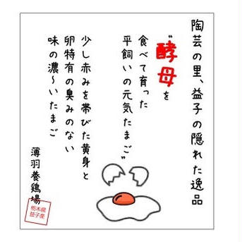 【酵母・平飼い卵40個】酵母を与えて育った平飼いたまご（元気たまご）40個 40個（10個入り紙パックで4つ） 卵/鶏卵通販