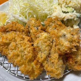 【生食可能】サロマの殻付き牡蠣　2年　3キロ　23個前後 3キロ 魚介類/牡蠣通販