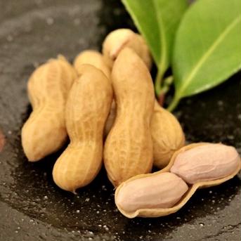 小粒の訳ありピーナッツ(生) 4kgバラ入り 野菜/豆類通販