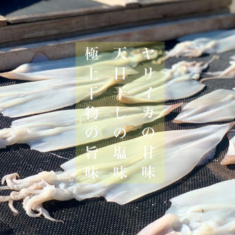 2セット【訳ありお得】ヤリイカ一夜干し&笹カレイの干物セット 訳ありイカ&カレイ2セット 魚介類/その他魚介通販