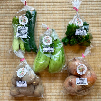 【専用】野菜様 ◇〈奈良うま直販フレッシュ〉奈良野菜セット｜近鉄百貨店ネットショップ