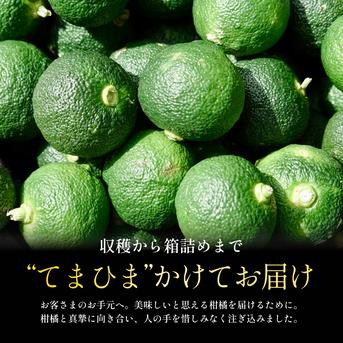 薬味や香り付けに】青ゆず 2kg 防腐剤・ワックス不使用 ｜ 果物/香酸