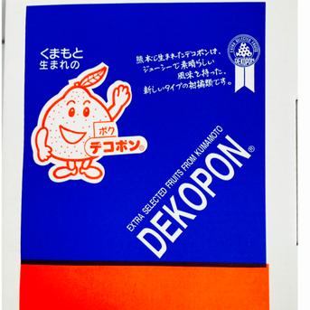 熊本県産 JAデコポン 約2㎏ 秀品 【002】ギフト 贈り物  フルーツ お取り寄せ みかん 蜜柑 ミカン 高級 熊本 柑橘類  JAデコポン 約2㎏ 　箱込み 果物/オレンジ・その他みかん通販