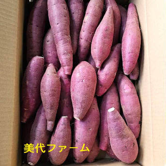 【アウルの日】熟紅はるか A品 5kg(S・Mサイズ混合) 千葉県産 農家直送 箱含め5kg 野菜/さつまいも通販