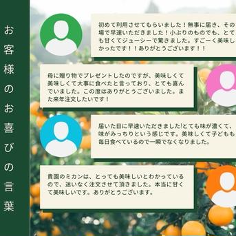 去年は大人気の為【予約受付のみ】で終了しました［段畑みかん］箱込み