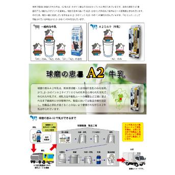 球磨の恵みA2牛乳 500mlx6パック ｜ 乳製品/牛乳 産直アウル 農家