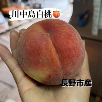 まるちゃん農園の長野市産！朝取り川中島白桃3キロ！ ｜ 果物/もも 