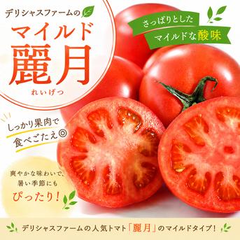 tomatoさま専用 完熟・大きめ4キロ 公認ショップ