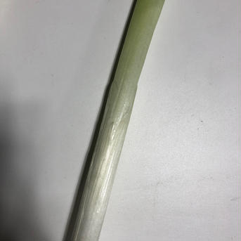 新潟丸源の五泉産雪下ねぎ 3kg（B品） 3kg 野菜/ねぎ通販