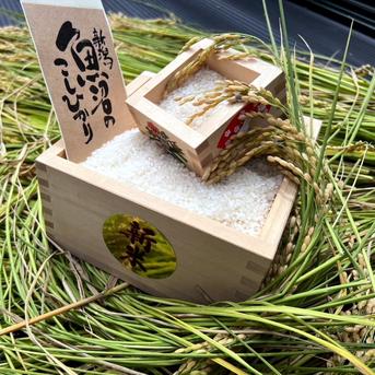 🆕!!新米🌾 7年産 魚沼産 コシヒカリ 玄米 20kg | 米・穀物/玄米