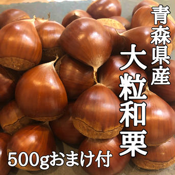 【数量限定】北国青森の大粒和栗500g➕おまけ多め 500g➕おまけ増量 果物/栗通販