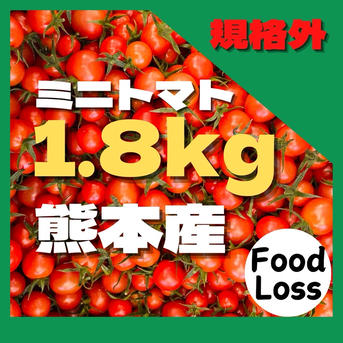 ミニトマト　9キロ　野菜　熊本　おやつ　弁当　おかず　ミネラル　リコピン ミニトマト 9キロ 野菜 熊本 おやつ 弁当 おかず ミネラル リコピン