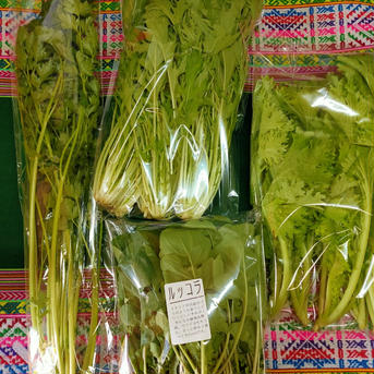 春野菜お楽しみセット★４種7袋　パチャママ農園 春野菜４種7袋 野菜/野菜セット・詰め合わせ通販