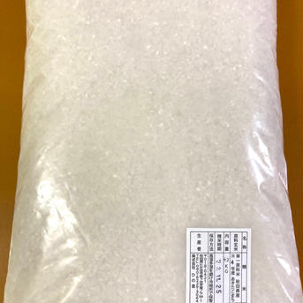 【訳あり数量限定】R5年産あきたこまち無洗米4.2kg×3袋 4.2kg×3袋 米・穀物/無洗米通販