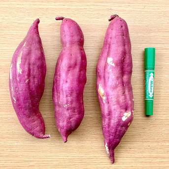 ともさんさつまいも規格外訳ありおまけ付き箱込み20キロ以下 ともさん