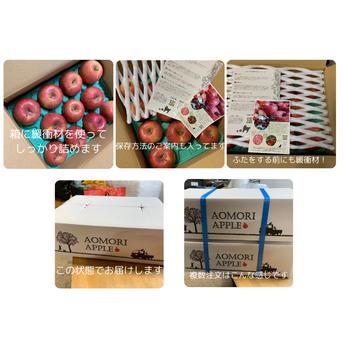 お値打ち品！『完熟サンふじ』【秀品　贈答向け】２４個から４０個入り ⑩完熟サンふじ秀品２４個から４０個入り 果物/りんご通販