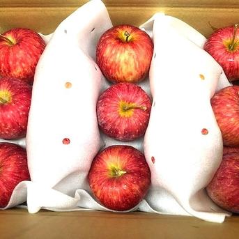 りんご 青森りんご定期便 4.5kg 毎月6回コース | 産地直送通販 | 青森