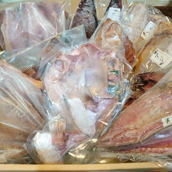 長崎漁港発　旬の地魚一夜干しお任せセット 約1.5kg 魚介類/魚介セット・詰め合わせ通販