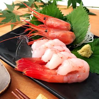 【訳あり】山陰の甘エビ（冷凍）500ｇ 　最もおいしい時期の甘エビ（H-425） 【訳あり】　500ｇ（30尾程度入り） 魚介類/エビ通販