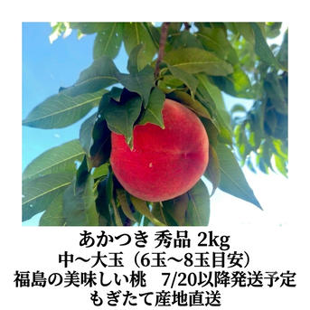 朝採り新鮮】産地直送 福島県産 桃 あかつき 秀品 約2kg 6〜8玉 ご家庭
