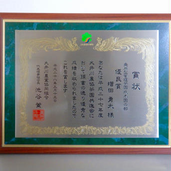 【お試し商品】令和4年新茶使用！　粉末茶 ほうじ茶 40g お茶/ほうじ茶通販