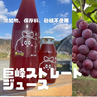 保存料·砂糖不使用巨峰ストレートジュース1本710ml 1本710ml 飲料/ジュース通販