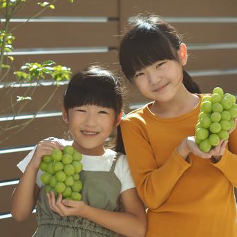 シャインマスカット 5kg ｜ 果物/ぶどう 産直アウル 農家・漁師など