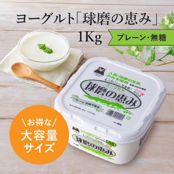ヨーグルト　3kg 球磨の恵みヨーグルト（砂糖不使用）3Kg ｜ 乳製品/その他乳製品 産直