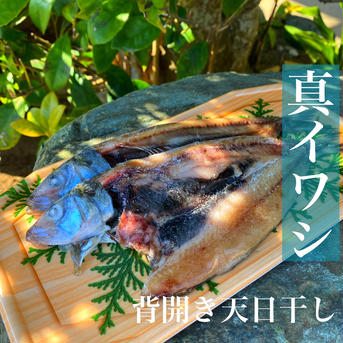 脂のり◎真イワシの開き8P(16尾)天日干し 真イワシの開き8P(16尾) 魚介類/魚介の加工品通販