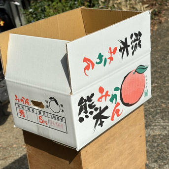 清水果樹園のはるかみかん。さっぱりした甘さでとても食べやすいみかん