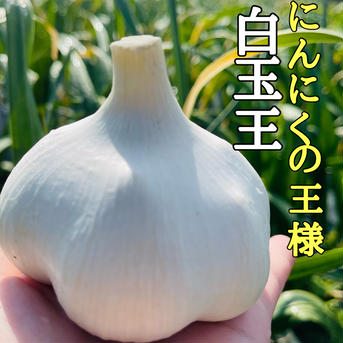【黒の誘惑】濃厚とろあま〜♡青森の熟成黒にんにく黒玉王400g【送料無料】 【熟成】黒にんにくバラ400g 野菜/野菜の加工品通販