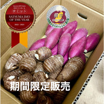 さといもプラス3kgセット | 野菜/野菜セット・詰め合わせ 産直アウル