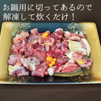 【送料無料】鍋用島根県産すっぽん300ｇ（冷凍）２～３人前スープ付き・レシピ付き【北海道・沖縄配送不可】 冷凍 魚介類/その他魚介通販