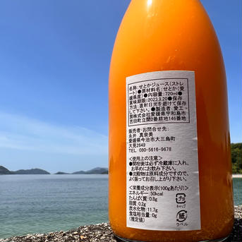 8種から選べる！みかんジュース　2本 2本 飲料/ジュース通販