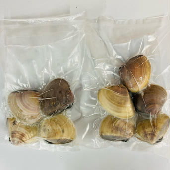 液体冷凍はまぐり　1個90〜130g   約500g×10パック 1個90〜130g   約500g×10パック 魚介類/蛤通販