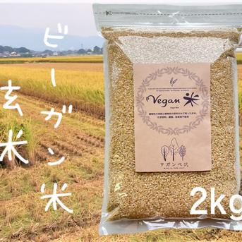 R7年産 ビーガン米玄米2kg 植物性育ち/化学肥料/農薬不使用 
