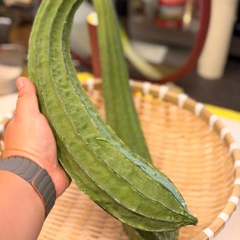 特選・朝採り】つくば産 農薬不使用 完熟前 棱角糸瓜（十角ヘチマ）［2