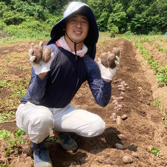 長崎・雲仙のカラフルじゃがいも【徳重ヨーデルワイス】3.5kg 3.5kg 野菜/じゃがいも通販