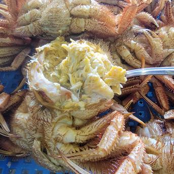 【御中元!! お盆に!!  冷凍浜蒸し毛蟹】  1杯(300ｇ前後) 1杯(300ｇ前後) 魚介類/カニ通販