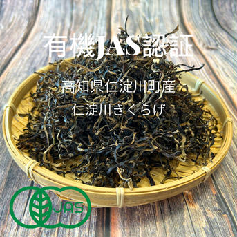 【お得なまとめ買い/仁淀川きくらげの魅力を伝える大袋】高知県産仁淀川きくらげ(スライスタイプ100g×10P) ※戻し方、参考料理の冊子付き Niyodogawa Kikurage 1kg(100g×10P) 野菜/きのこ通販