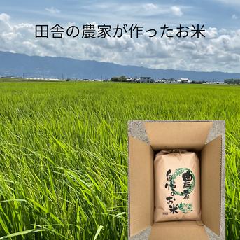 令和7年産お米 元気つくし白米4.5kg 特別栽培農法 ｜ 米・穀物/米