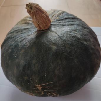 大自然の恵み｜朝採れ夏野菜5品おまかせセットLサイズ｜夏の旬を