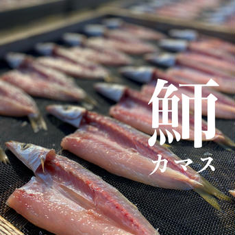カマスとホウボウの干物食べ比べセットカマス2P(4尾)、ホウボウ2P(２尾) カマス2P(4尾)、ホウボウ2P(２尾) 魚介類/魚介の加工品通販